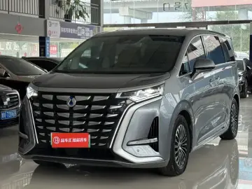 Denza D9