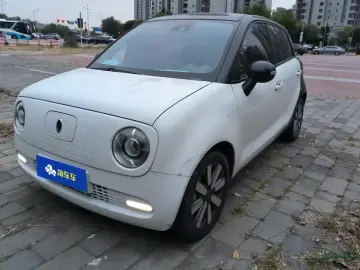2019 Ora Black Cat с пробегом 63 000 км