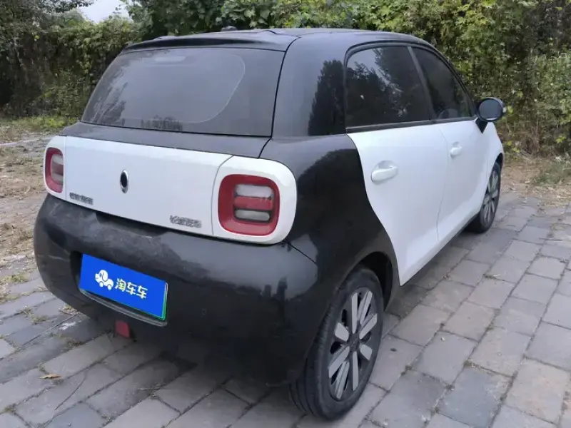 2019 Ora Black Cat с пробегом 63 000 км