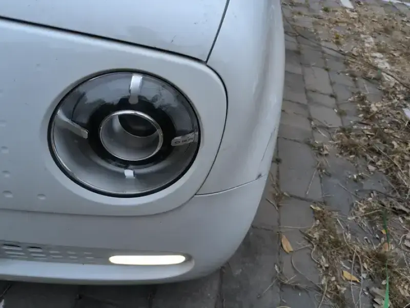 2019 Ora Black Cat с пробегом 63 000 км