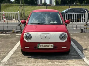 2022 Ora Black Cat с пробегом 40 000 км