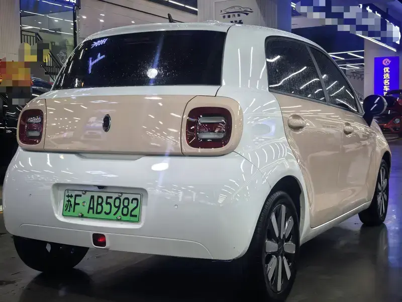 2021 Ora Black Cat с пробегом 55 000 км