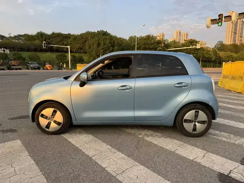 2019 Ora Black Cat с пробегом 67 800 км