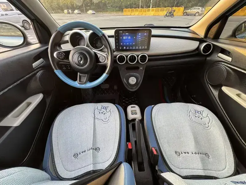 2019 Ora Black Cat с пробегом 67 800 км