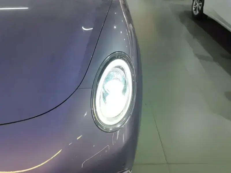 2022 Ora Lightning Cat с пробегом 59 000 км
