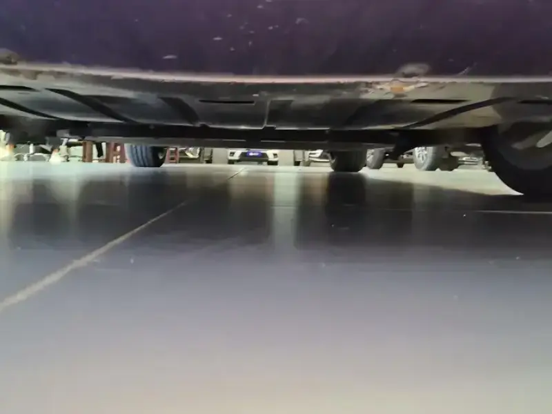 2022 Ora Lightning Cat с пробегом 59 000 км