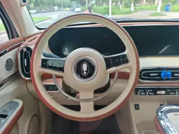 2022 Ora Ballet Cat с пробегом 49 300 км