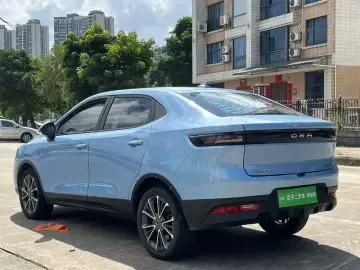 2018 Ora iQ с пробегом 150 000 км