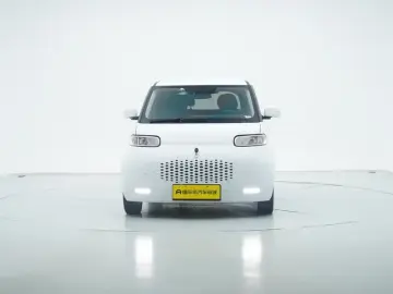 2020 Ora White Cat с пробегом 36 600 км