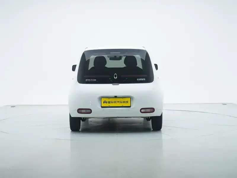 2020 Ora White Cat с пробегом 36 600 км