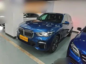 BMW X5 New Energy(Imported)