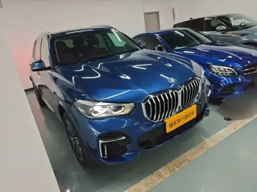 2022 BMW X5 New Energy(Imported) с пробегом 128 300 км
