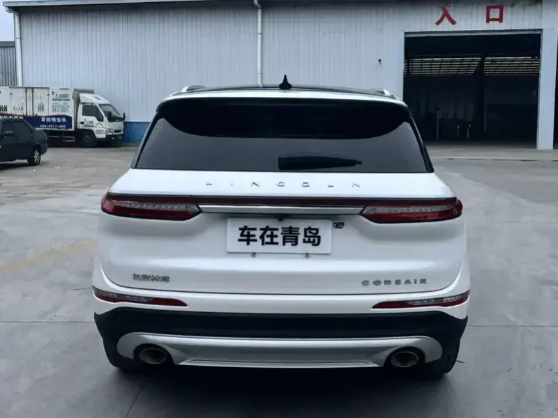 2022 Lincoln Adventurer NEV с пробегом 67 000 км