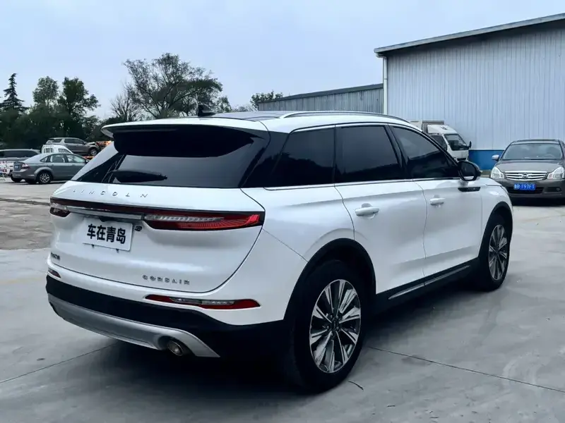 2022 Lincoln Adventurer NEV с пробегом 67 000 км