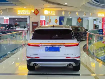 2021 Lincoln Adventurer NEV с пробегом 35 000 км