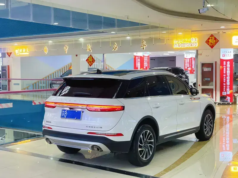 2021 Lincoln Adventurer NEV с пробегом 35 000 км