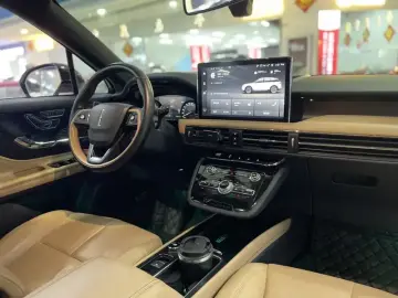 2021 Lincoln Adventurer NEV с пробегом 35 000 км