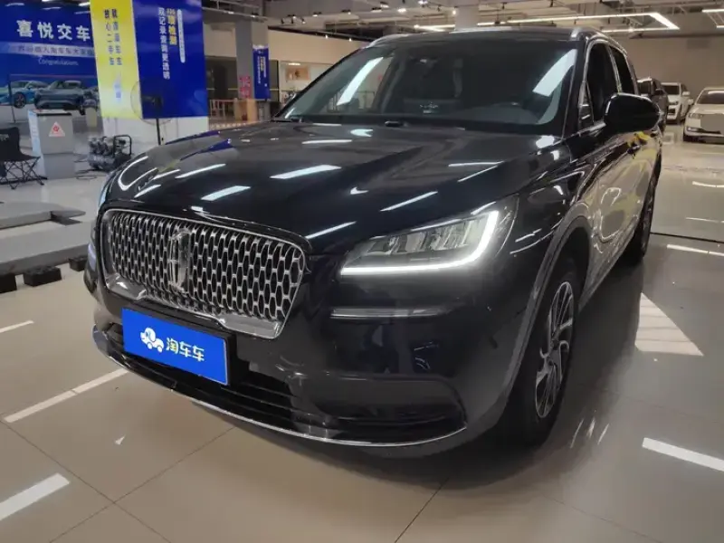 2022 Lincoln Adventurer NEV с пробегом 67 000 км