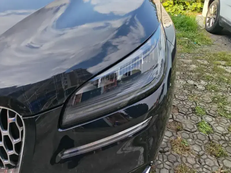 2022 Lincoln Adventurer NEV с пробегом 67 000 км