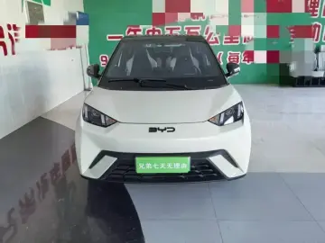 2025 BYD Seagull с пробегом 21 000 км