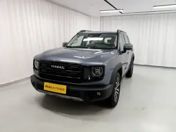 Haval Dargo