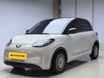 Wuling Binguo