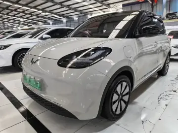 Wuling Binguo