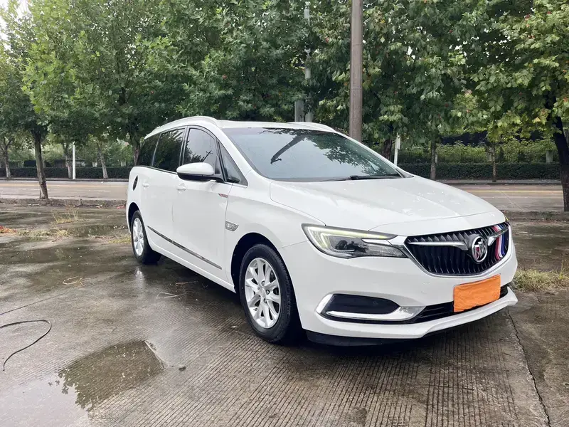 2019 Buick GL6 с пробегом 89 600 км