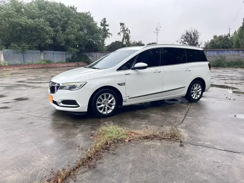 2019 Buick GL6 с пробегом 89 600 км