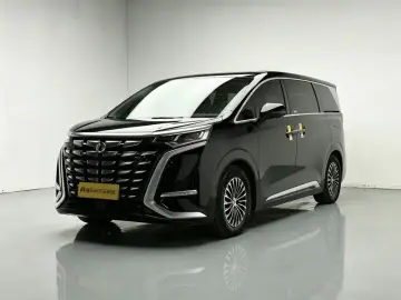 Denza D9