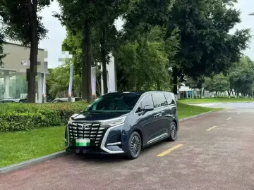 Denza D9