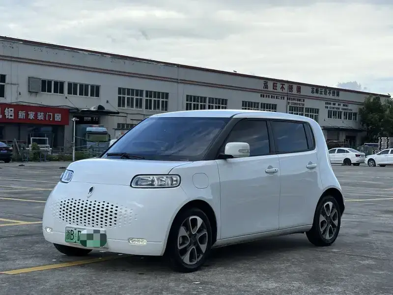 2022 Ora White Cat с пробегом 28 800 км