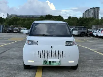 2022 Ora White Cat с пробегом 28 800 км