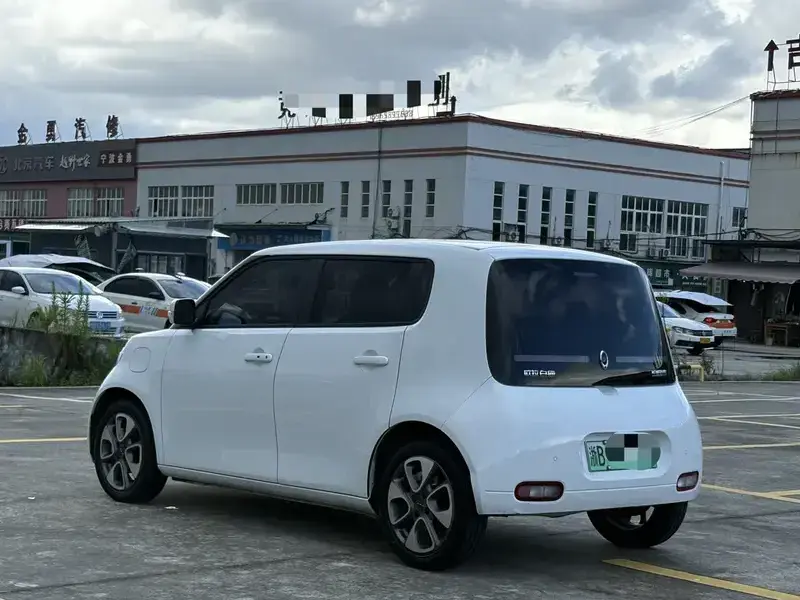 2022 Ora White Cat с пробегом 28 800 км