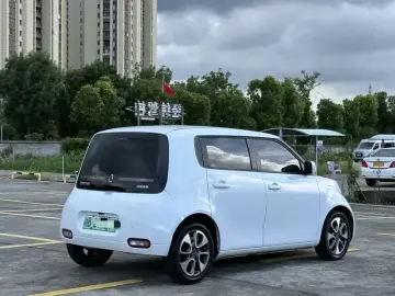2022 Ora White Cat с пробегом 28 800 км