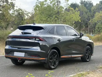 2023 Forthing Thunder с пробегом 50 000 км