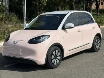 Wuling Binguo