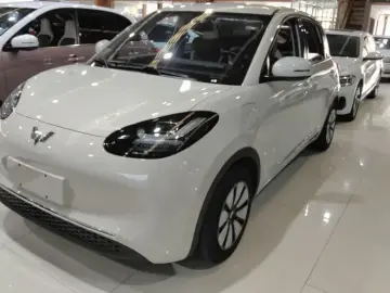 Wuling Binguo