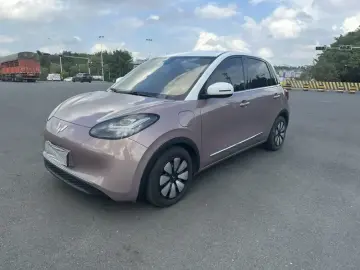 Wuling Binguo