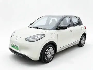 Wuling Binguo