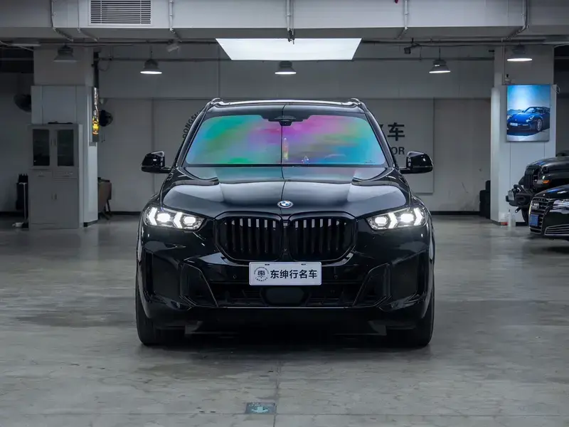 2023 BMW X5 New Energy(Imported) с пробегом 33 400 км