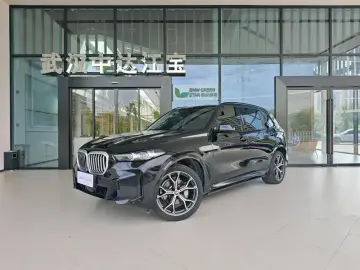 BMW X5 New Energy(Imported)
