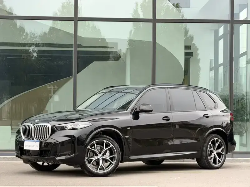 2025 BMW X5 New Energy(Imported) с пробегом 17 000 км