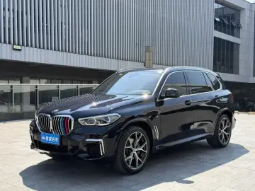 BMW X5 New Energy(Imported)
