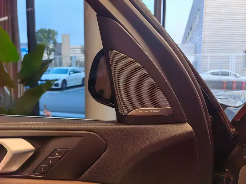 2023 BMW X5 New Energy(Imported) с пробегом 34 300 км