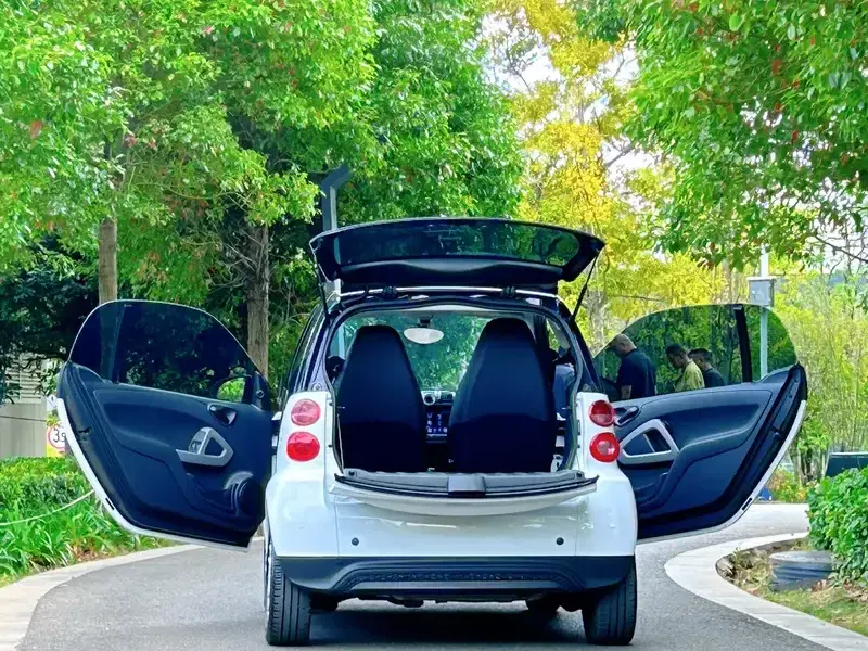 2014 Brabus smart fortwo с пробегом 54 000 км