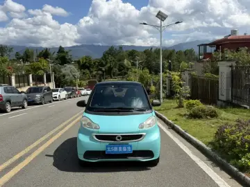 2014 Brabus smart fortwo с пробегом 88 000 км