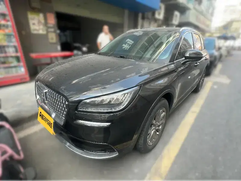 2021 Lincoln Adventurer NEV с пробегом 48 100 км