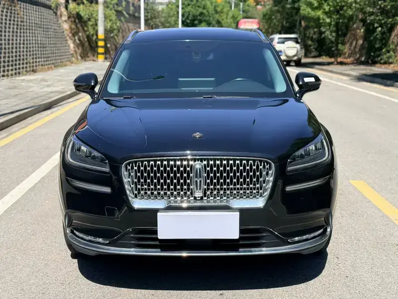 2021 Lincoln Adventurer NEV с пробегом 105 000 км