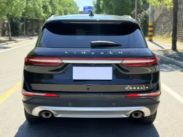 2021 Lincoln Adventurer NEV с пробегом 105 000 км